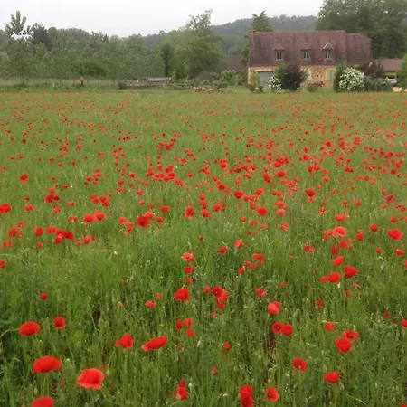 De Nature Proche De Sarlat *
